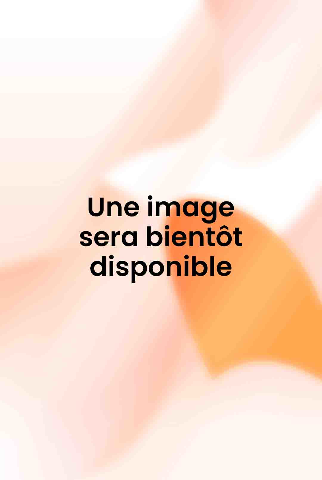 La vie quotidienne en Normandie au temps de Madame Bovary